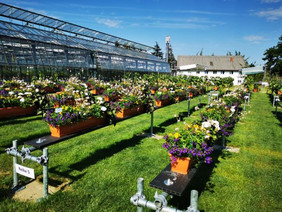 Referenzpflanzen im Rahmen des Modell- und Demonstrationsvorhabens Hobbygartenbau (HOT) Foto: FNR/Busse.