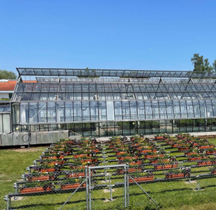 Balkonkostenanlage mit torfreduzierten und torffreien Blumenerden (Quelle: HSWT-IGB)