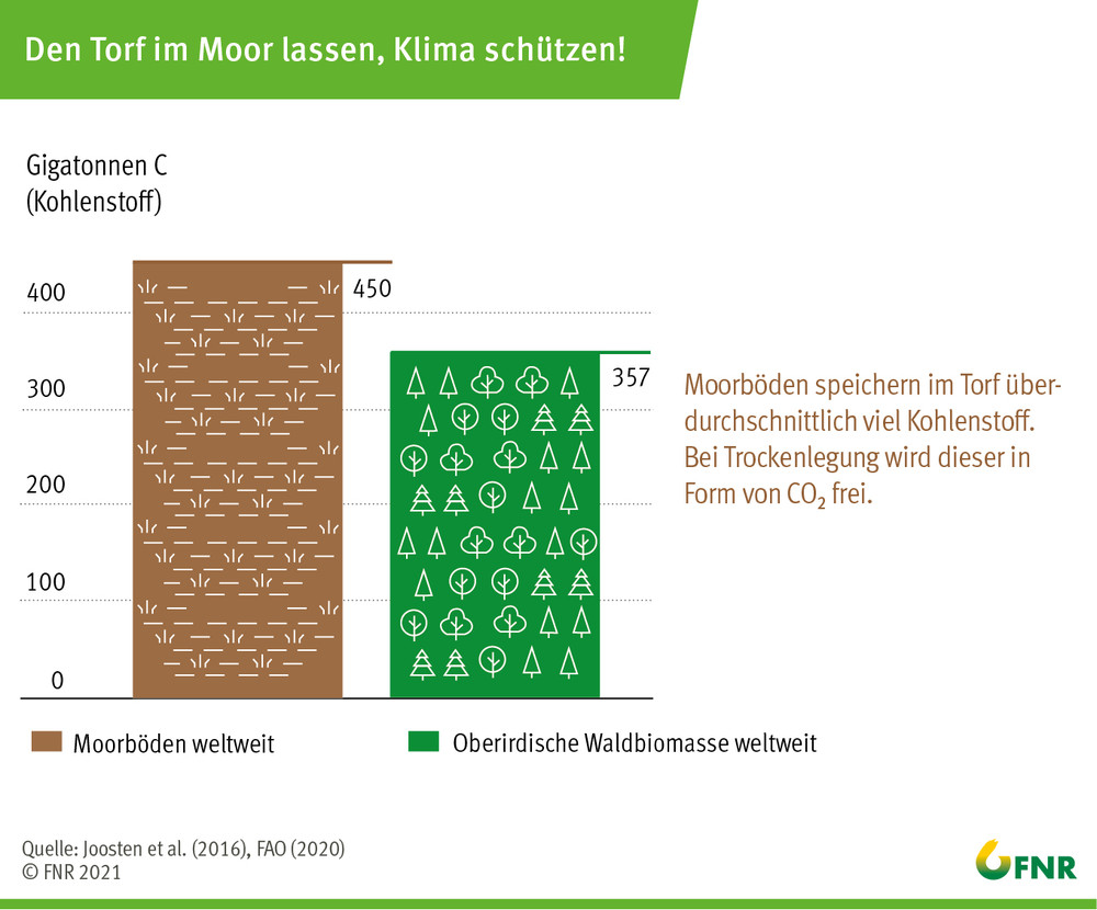 Moorböden speichern im Torf überdurchschnittlich viel Kohlenstoff. Bei Trockenlegung wird dieser in Form von CO2 frei. Grafik: FNR
