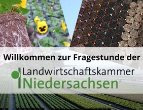 Gartenbau ohne Torf - Wie geht das? Fragestunde der LWK Niedersachsen (Quelle: Landwirtschaftskammer (LWK) Niedersachsen)